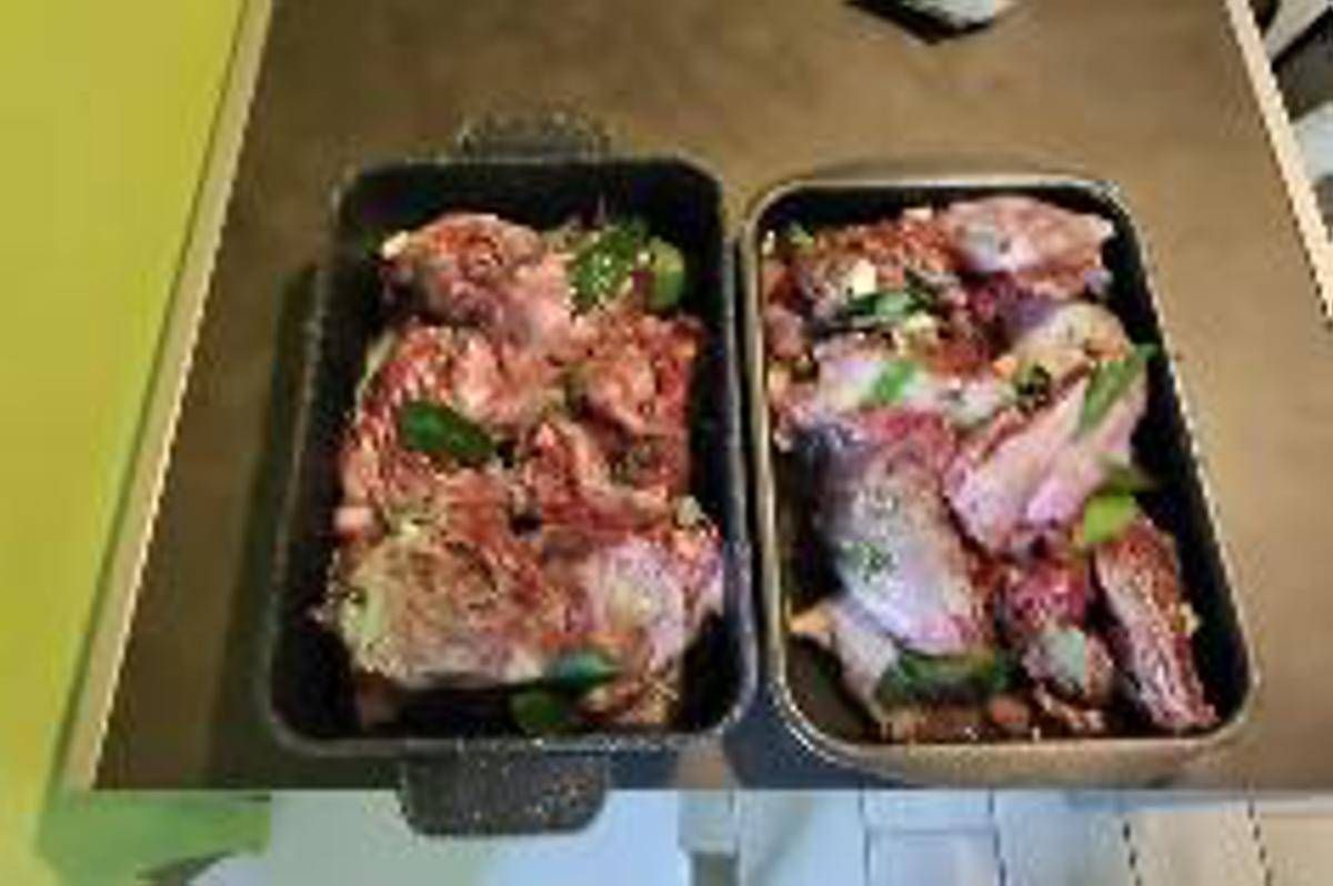 Nutrie arrosto a Pasquetta? Bassetti: "Come mangiare i topi" - 