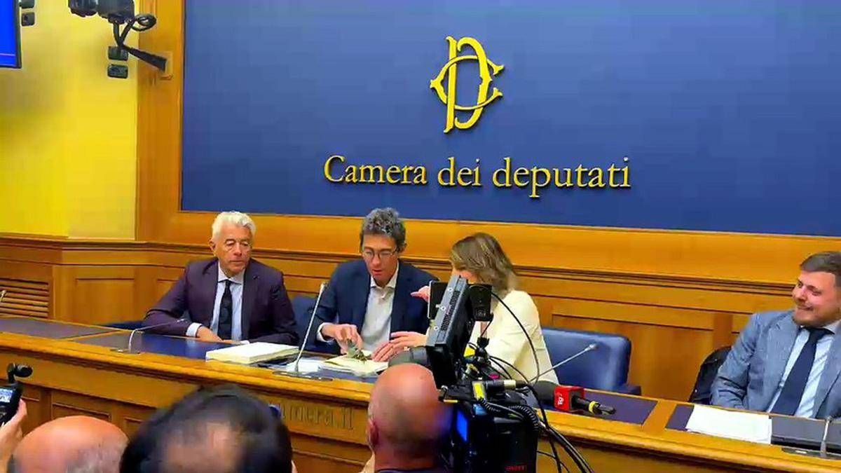 Cannabis, Magi la 'spaccia' alla Camera: "Lieve entità" - 