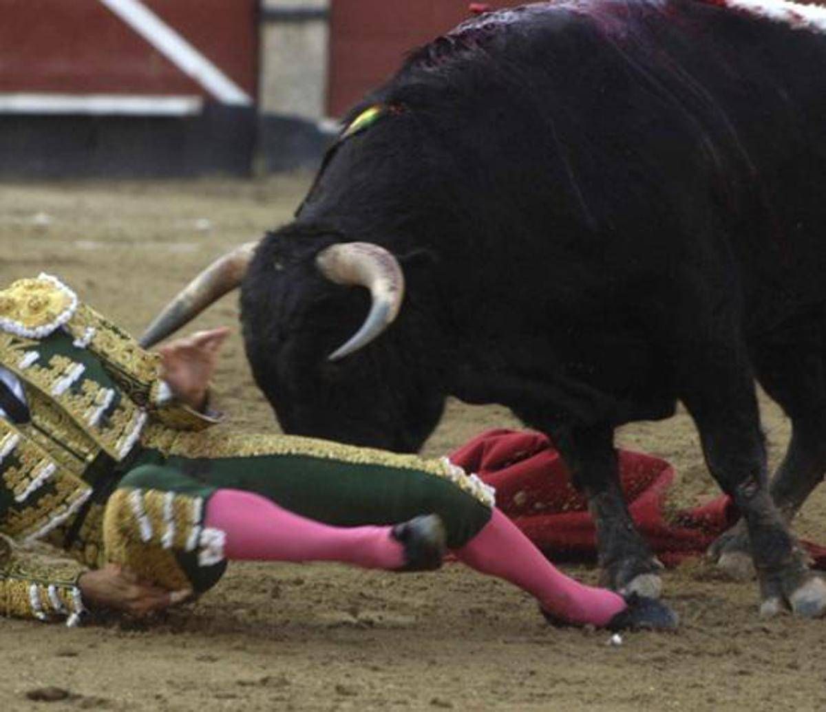 Il toro incorna e uccide il torero, lo choc in Spagna - 