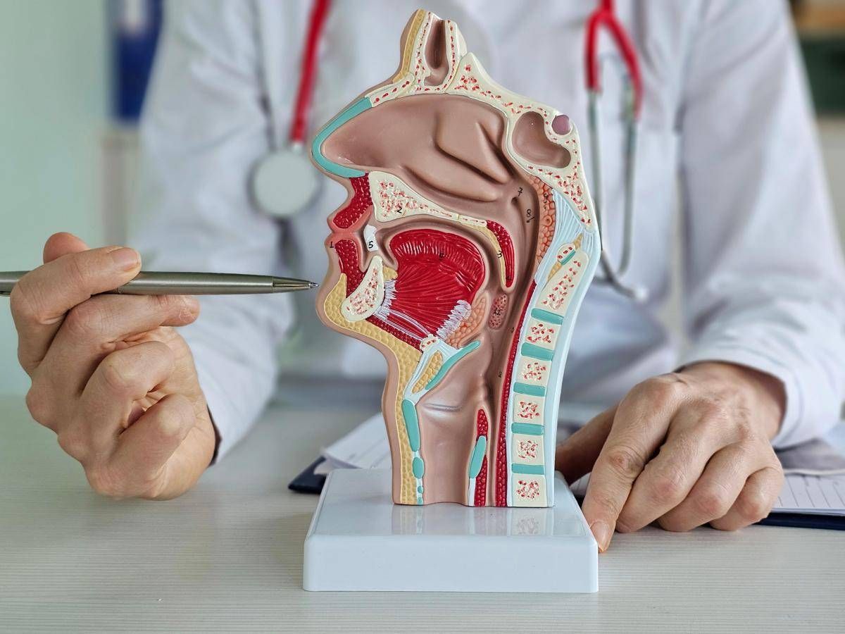 Tumore corde vocali, trovata la 'scintilla' che lo rende aggressivo e invasivo - 