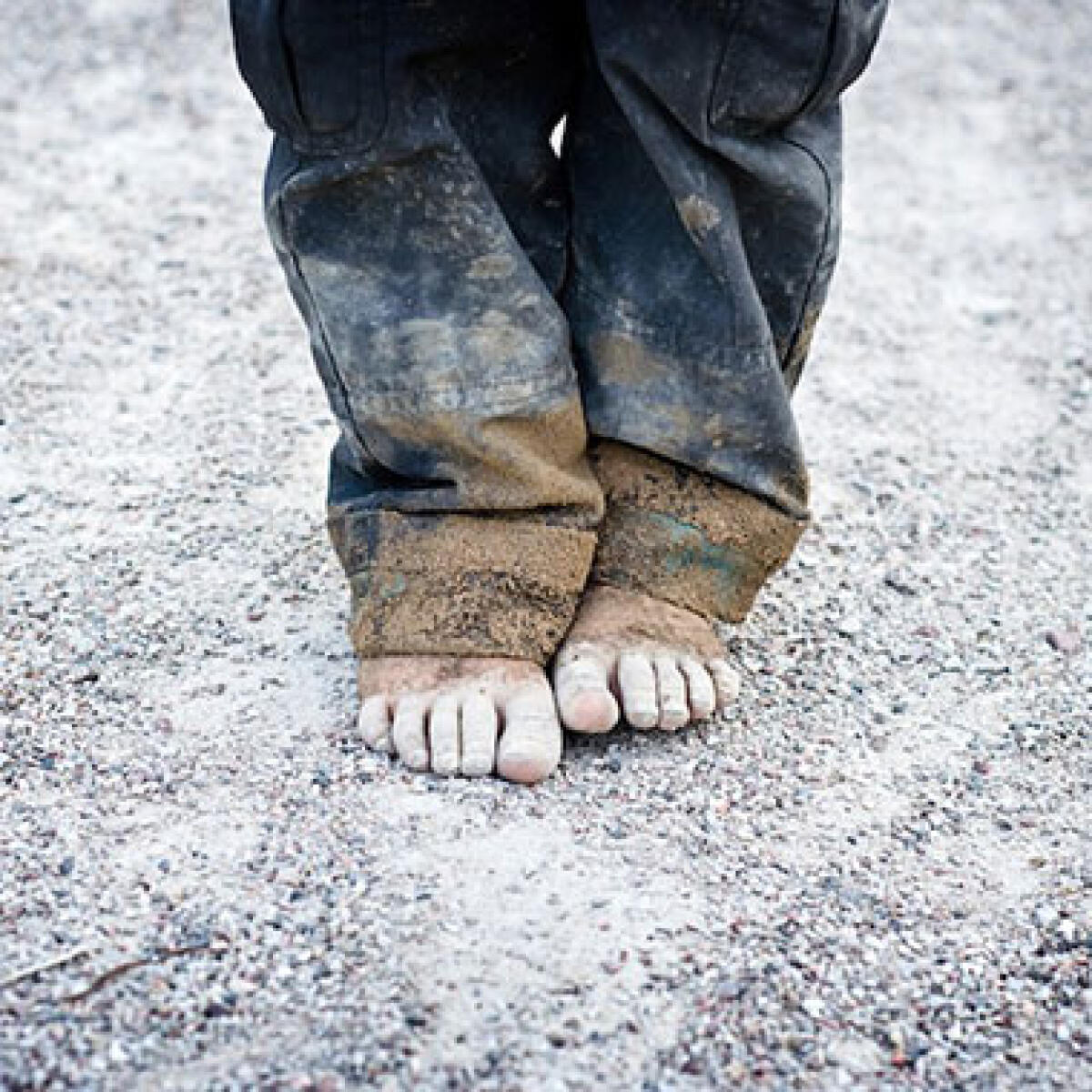 Pubblicazione dell'Avviso sul sito del Comune di Palermo per attività sociali - 