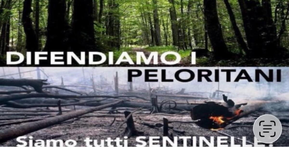 Presentazione della Conferenza Stampa del Comune di Messina in Sala Ovale “A. Caponnetto” - 