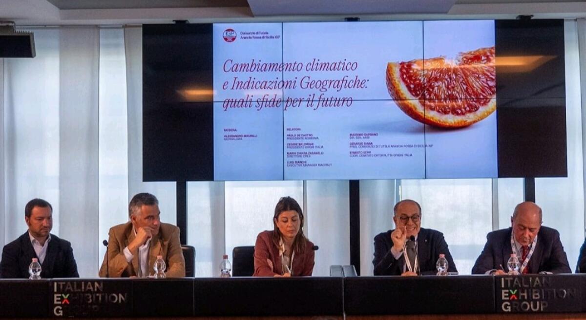 Tutela Arancia Rossa: La sfida del cambiamento climatico per le Indicazioni Geografiche italiane - 