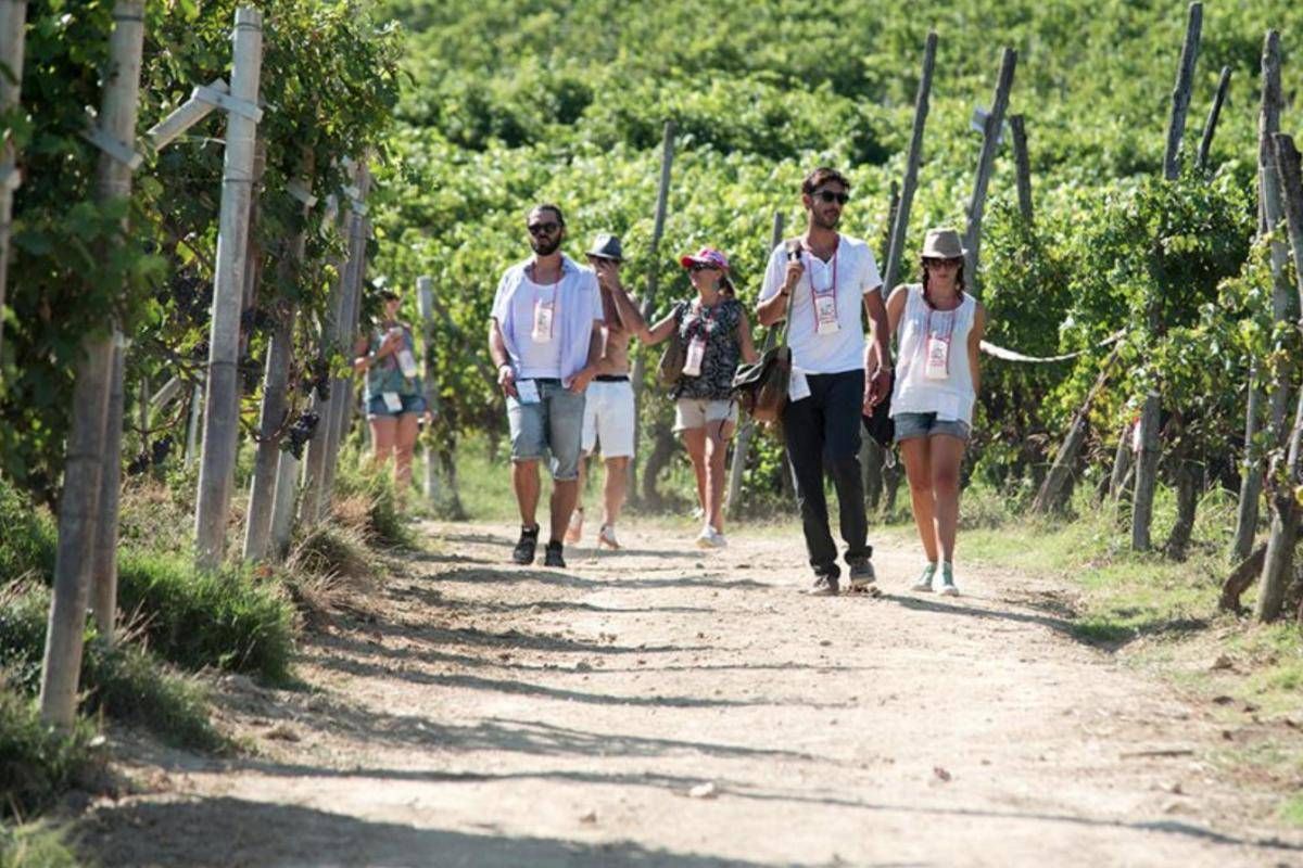 Turismo, UniCredit-Nomisma Wine Monitor: da quello del vino 3 miliardi di valore per cantine - 