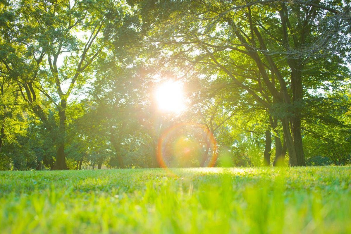 Meteo, svolta clamorosa: sole e 25°C a Pasqua e Pasquetta - 