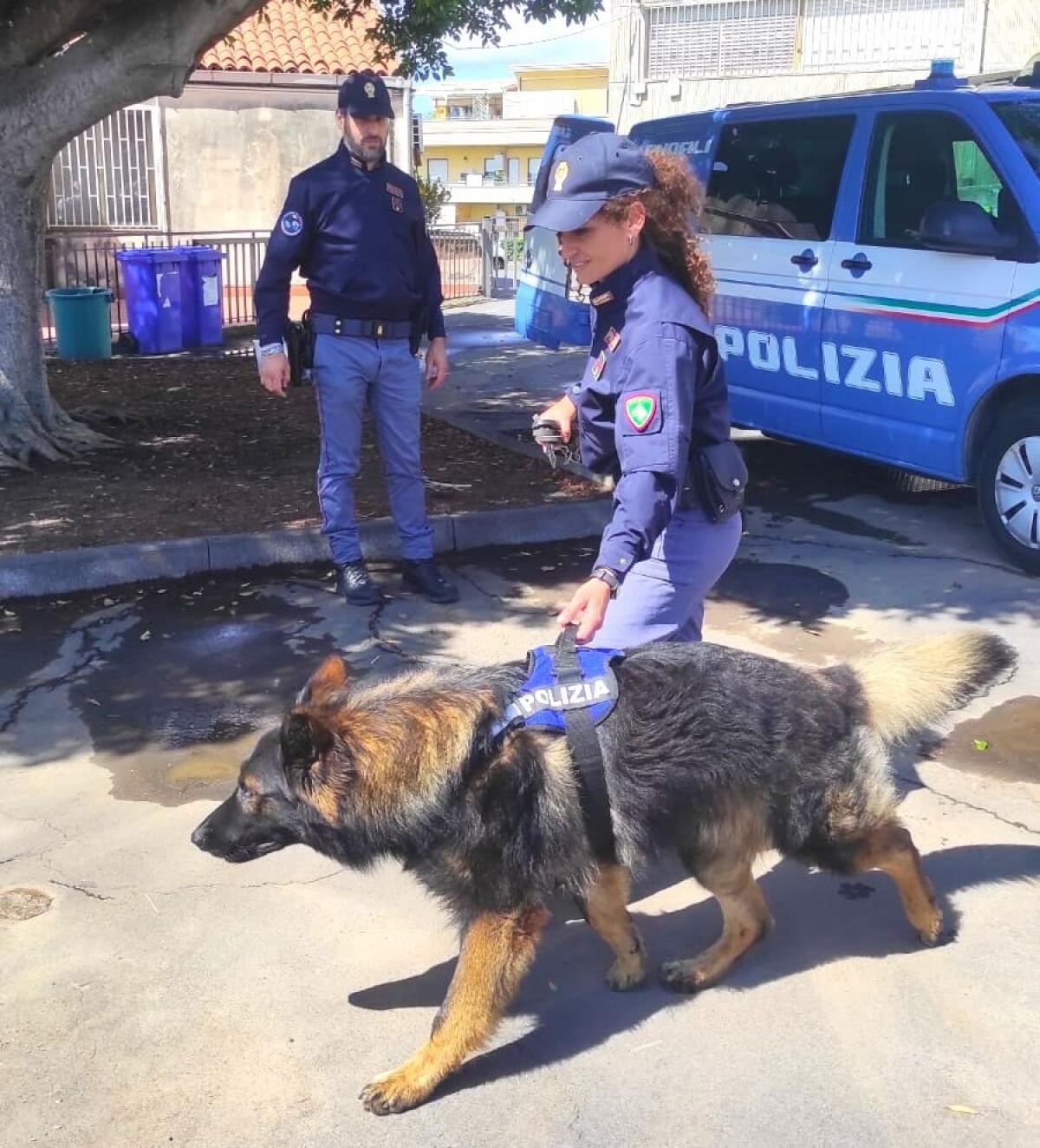 Arrestato pusher a Catania con decine di dosi di marijuana e hashish nella vettura - 