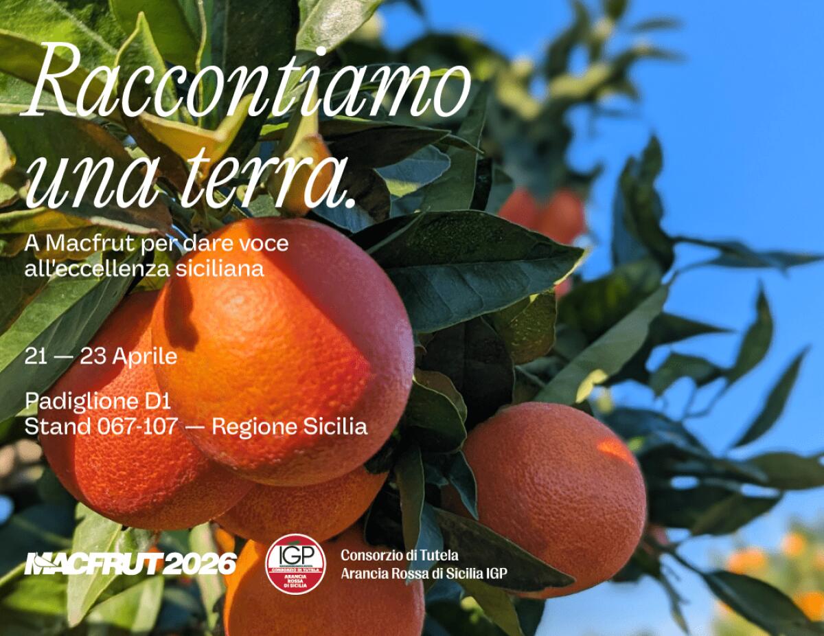 Il Consorzio di Tutela Arancia Rossa protagonista a Macfrut 2023: un incontro su clima e qualità - 