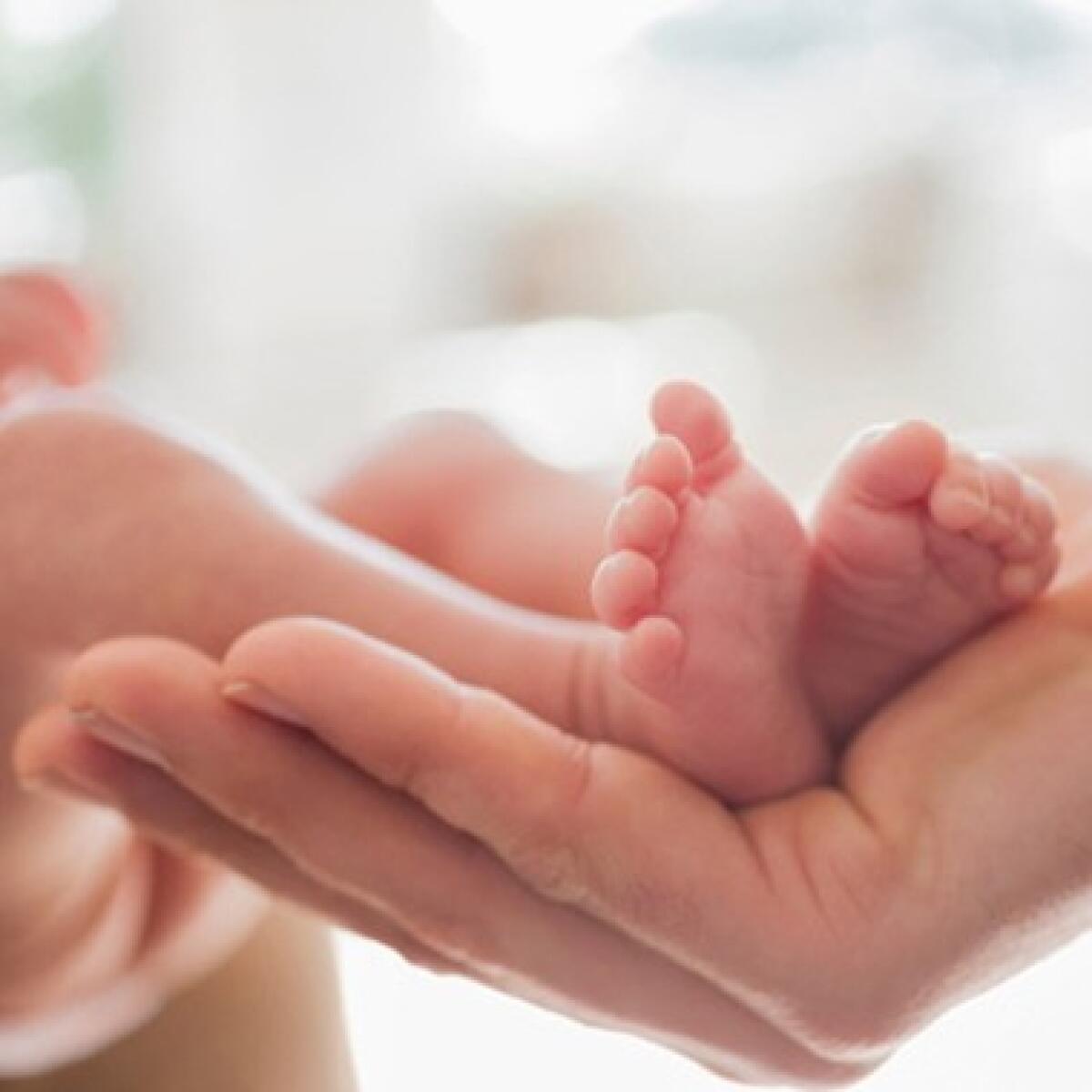 Bonus di € 1.000 per la nascita di un figlio: istruzioni del Comune di Palermo per il 2026 - 