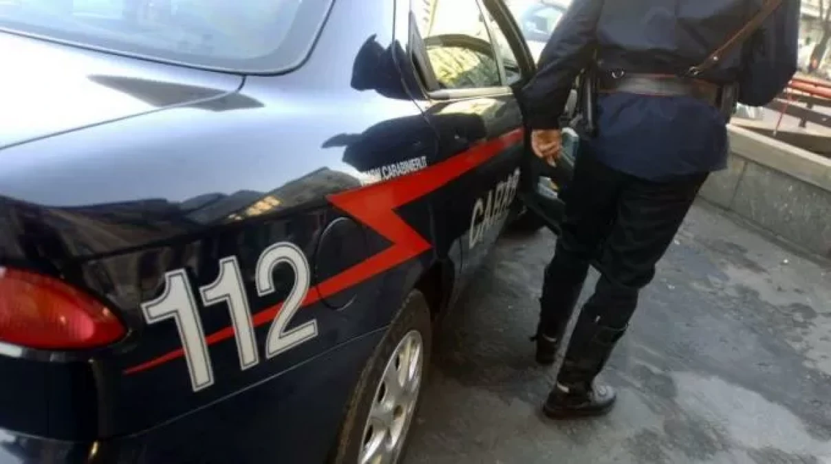 Piedimonte Etneo, recuperati due asini rubati: due denunciati per abigeato - 