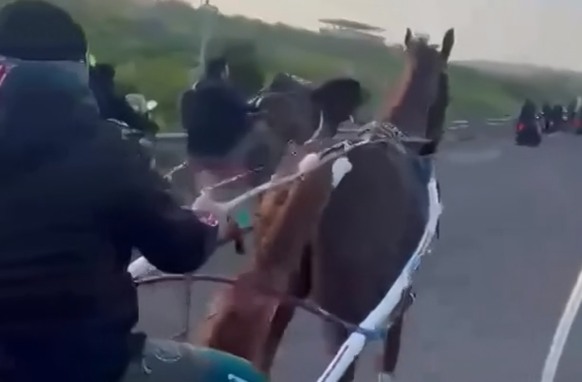 VIDEO - Palagonia: denuncia di corsa clandestina con presunti uomini armati e colpi d'arma da fuoco - 