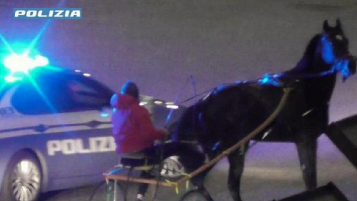 Corsa clandestina a Palagonia con spari e kalashnikov: polizia individua fantini e cavalli - 