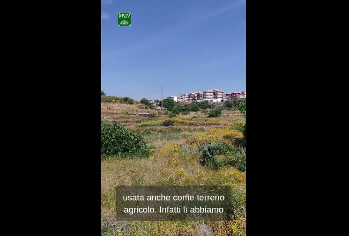 Sciare della Susanna (Cibali): oasi urbana minacciata da strada ed edifici - Credit Foto/ Video Passione Etna