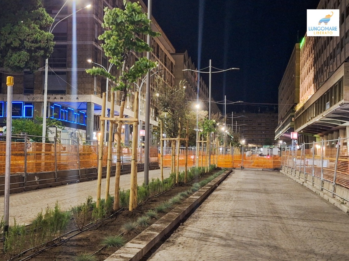 Nuovi alberi al Corso Sicilia: l'annuncio di Lungomare Liberato e le questioni aperte - Credit foto Lungomare Liberato