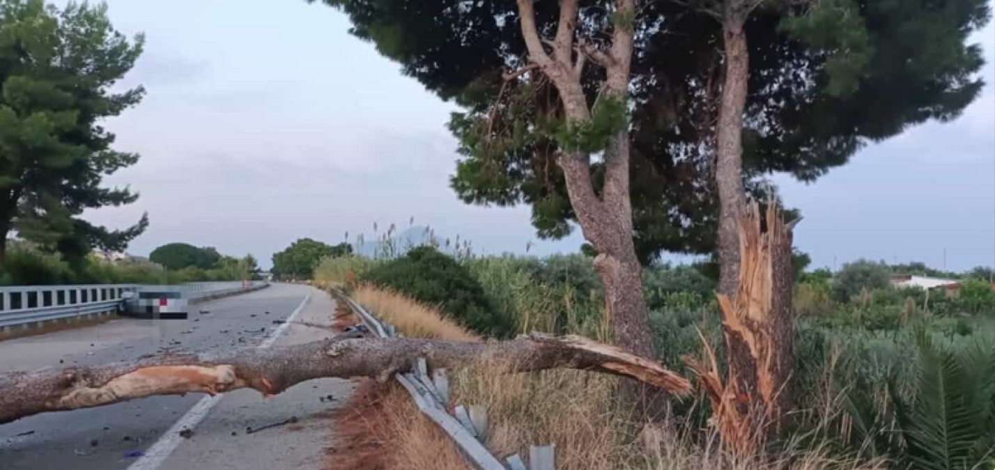 Rinvio a giudizio per cinque tecnici dopo la morte di Francesco Maniaci: incidente sull'autostrada Messina‑Palermo - 