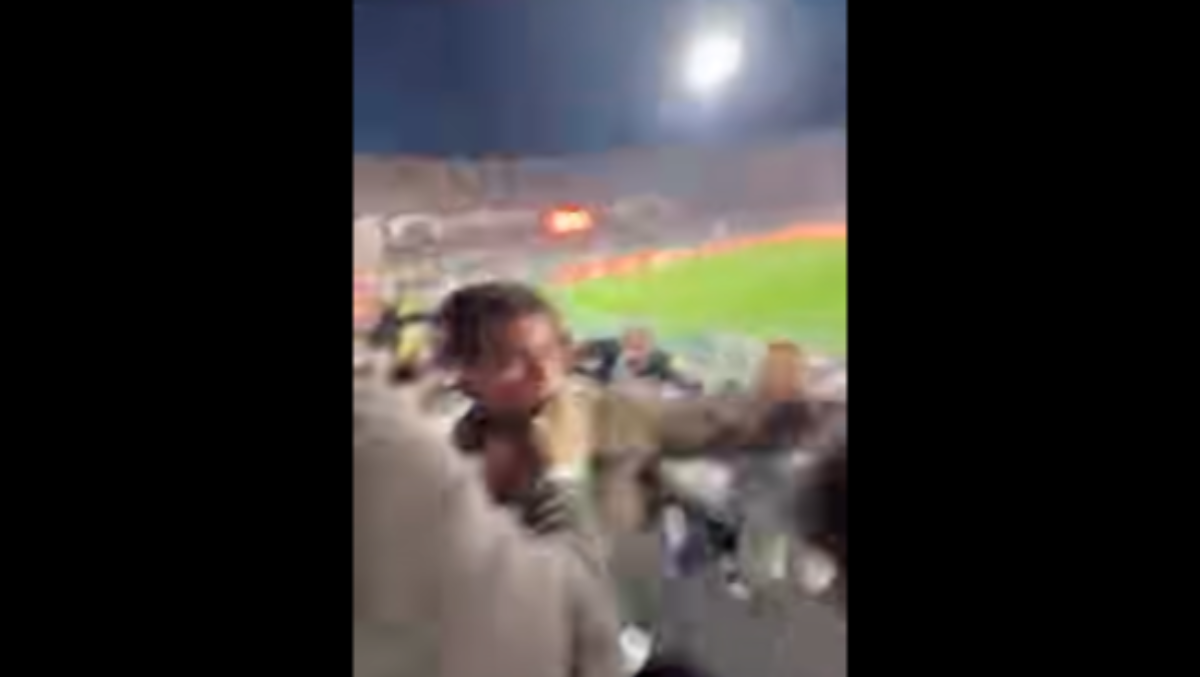 Rissa in tribuna al "Barbera" durante Palermo-Catanzaro: Noto denuncia aggressioni a familiari e tesserati - 