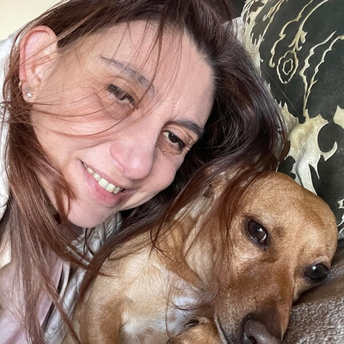 Investita in via Imperatore Federico: muore avvocato 54enne, cane gravemente ferito - 