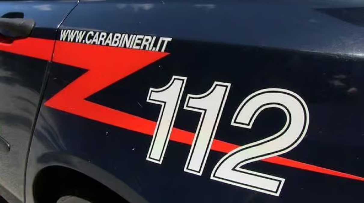 Caccamo, 16 cani in 6 m² e due cardellini: coppia denunciata e multata - 