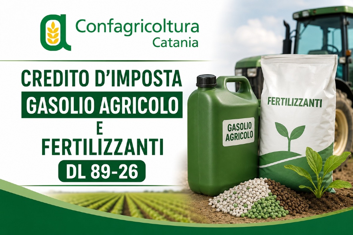 Decreto-legge 22 maggio 2026: Crediti d’imposta per gasolio e fertilizzanti, le novità segnalate da Confagricoltura Catania - Credit Foto Confagricoltura Catania