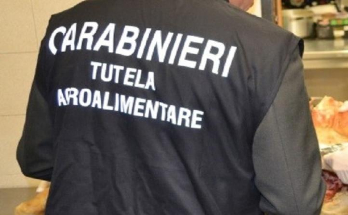 Sequestri a Giarre: 1.230 litri di vino e altri prodotti privi di tracciabilità - 