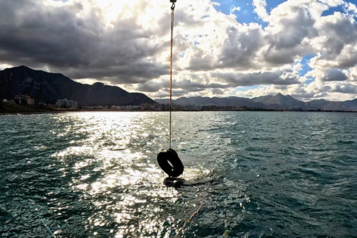 Golfo di Palermo: 10 tonnellate di pneumatici rimosse, Posidonia reimpiantata e 700 studenti coinvolti - 