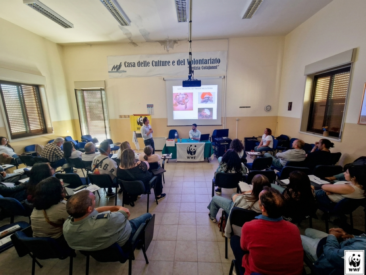 Caltanissetta: oltre 40 volontari formati al primo soccorso per la fauna selvatica, obiettivo un centro a Borgo Petilia - Credit Foto WWF Sicilia Centrale