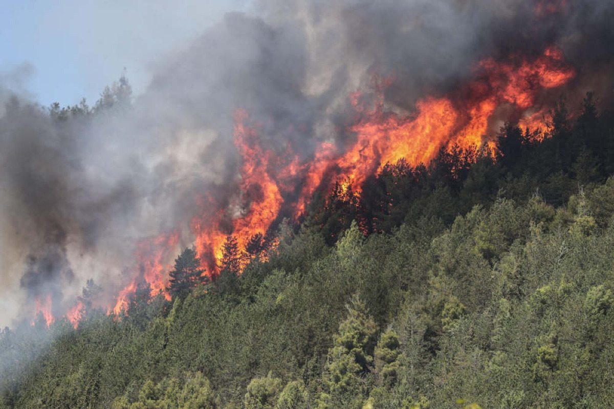 Regione Sicilia e Vigili del Fuoco, firmata convenzione: quasi 3,5 milioni per la campagna antincendi - 