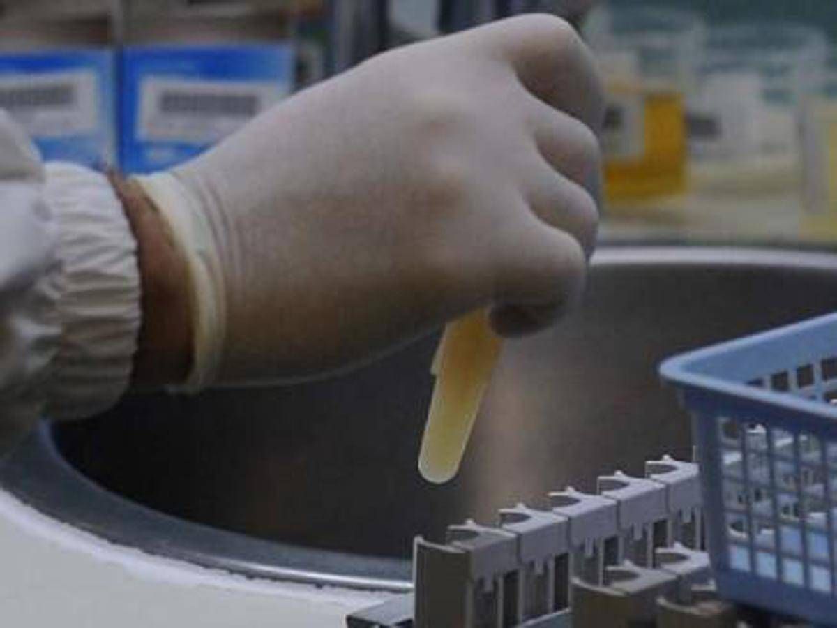 Tre morti per possibile focolaio di infezione da hantavirus su nave da crociera nell'Atlantico﻿ - 