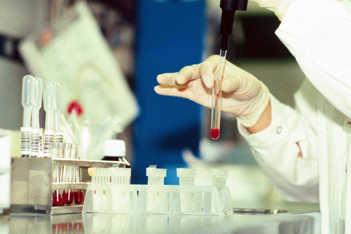 Antrace, vaiolo e virus 'zombie': l'indagine sui rischi nascosti nel ghiaccio da migliaia di anni - 