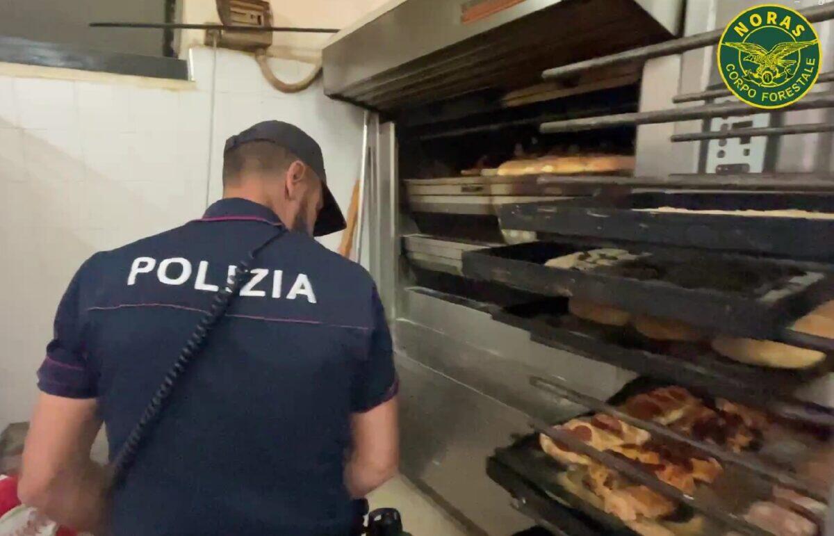 Polizia di Catania smantella irregolarità in due attività commerciali, sanzioni per 24.000 euro - 
