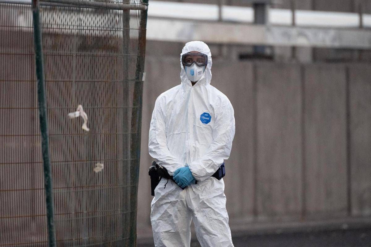 Hantavirus, l'esperta: "Più letale ma diverso da Covid, non si rischia nuova pandemia" - 