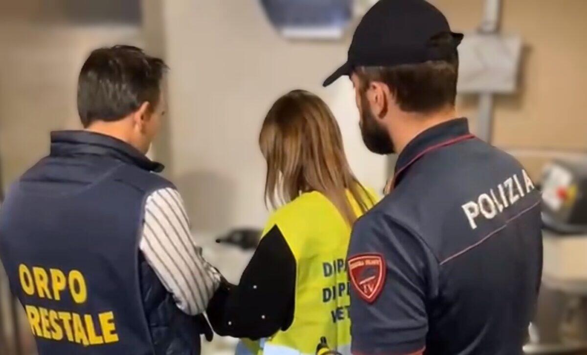 Controlli della Polizia a Catania: sanzioni per oltre 51.000 euro in ristoranti e bar del centro storico - 