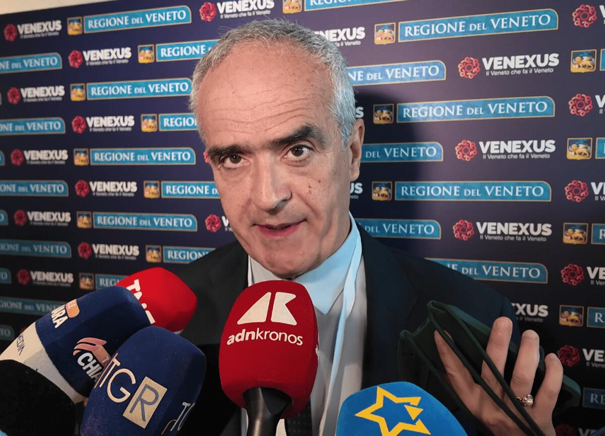 Solidarietà, Rizzuto: "Con Venexus Veneto si mette in rete per bisogni territorio" - 