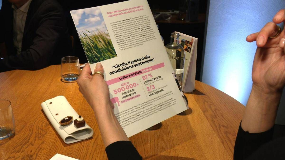 Alimenti, al via campagna Ue Veal: Italia Francia e Belgio unite dal gusto della condivisione sostenibile - 