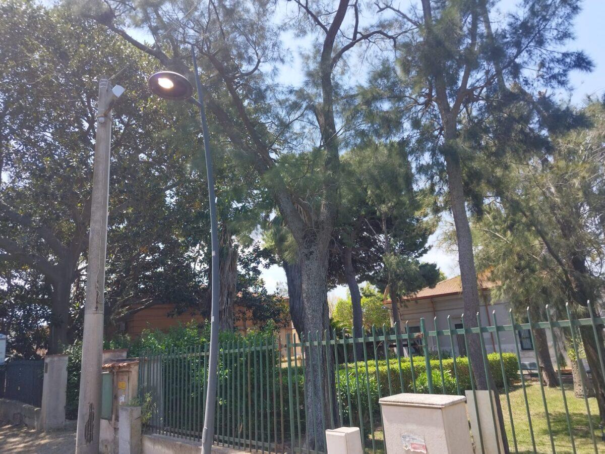 Illuminazione del Parco della Favorita: il Comune di Palermo investe oltre 49 mila euro per il ripristino e la riqualificazione dei punti luce. - 
