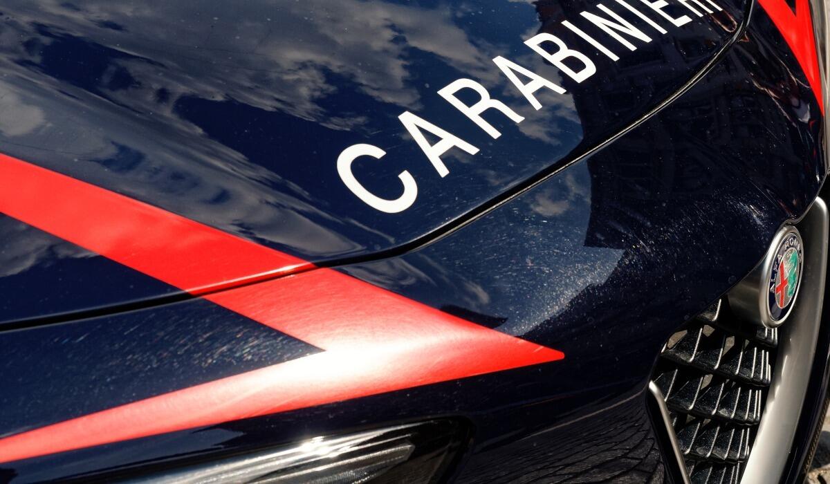 Carabinieri intervengono su corse clandestine di cavalli a Castelvetrano: misure cautelari per cinque indagati - 