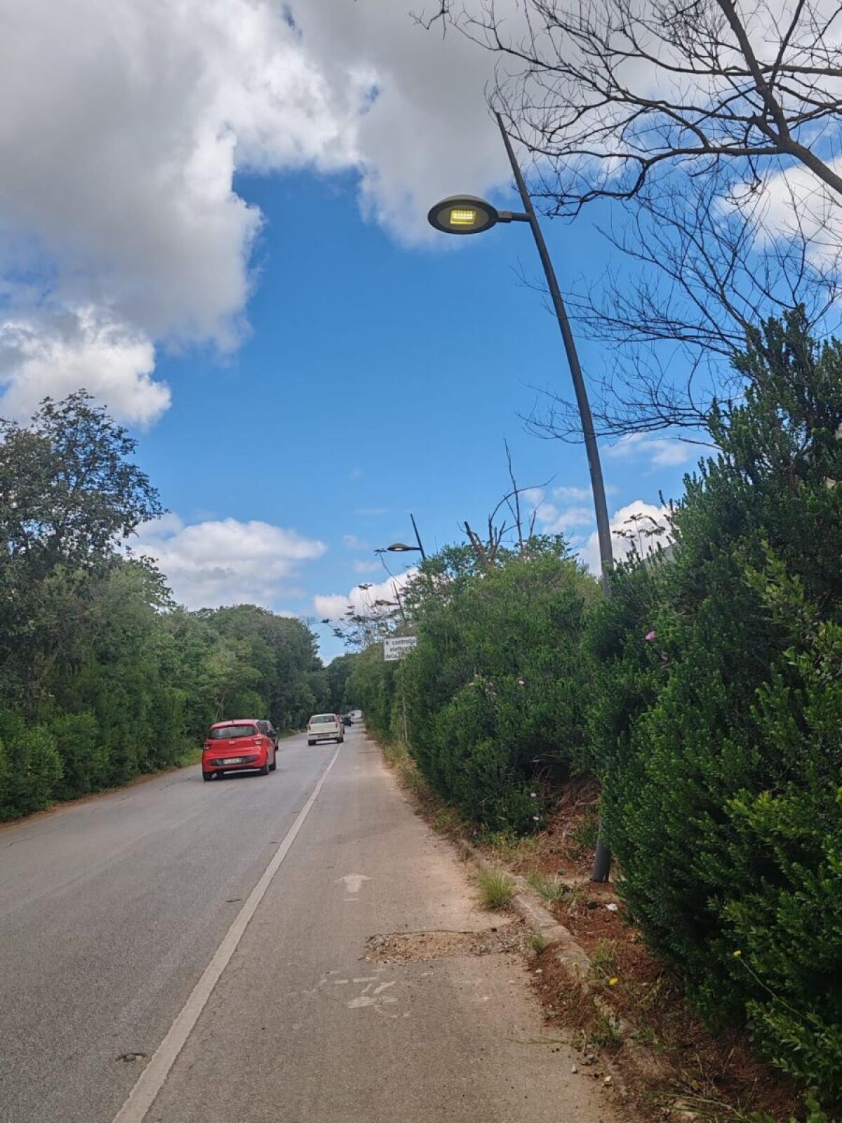 Ripristinata l'illuminazione nel parco della Favorita grazie all'intervento del Comune di Palermo - 