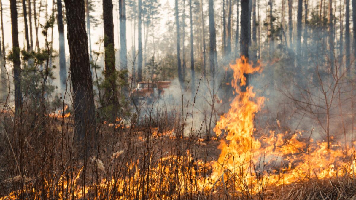 Prevenzione incendi: il Comune di Caltanissetta promuove pratiche indispensabili per la sicurezza. - 