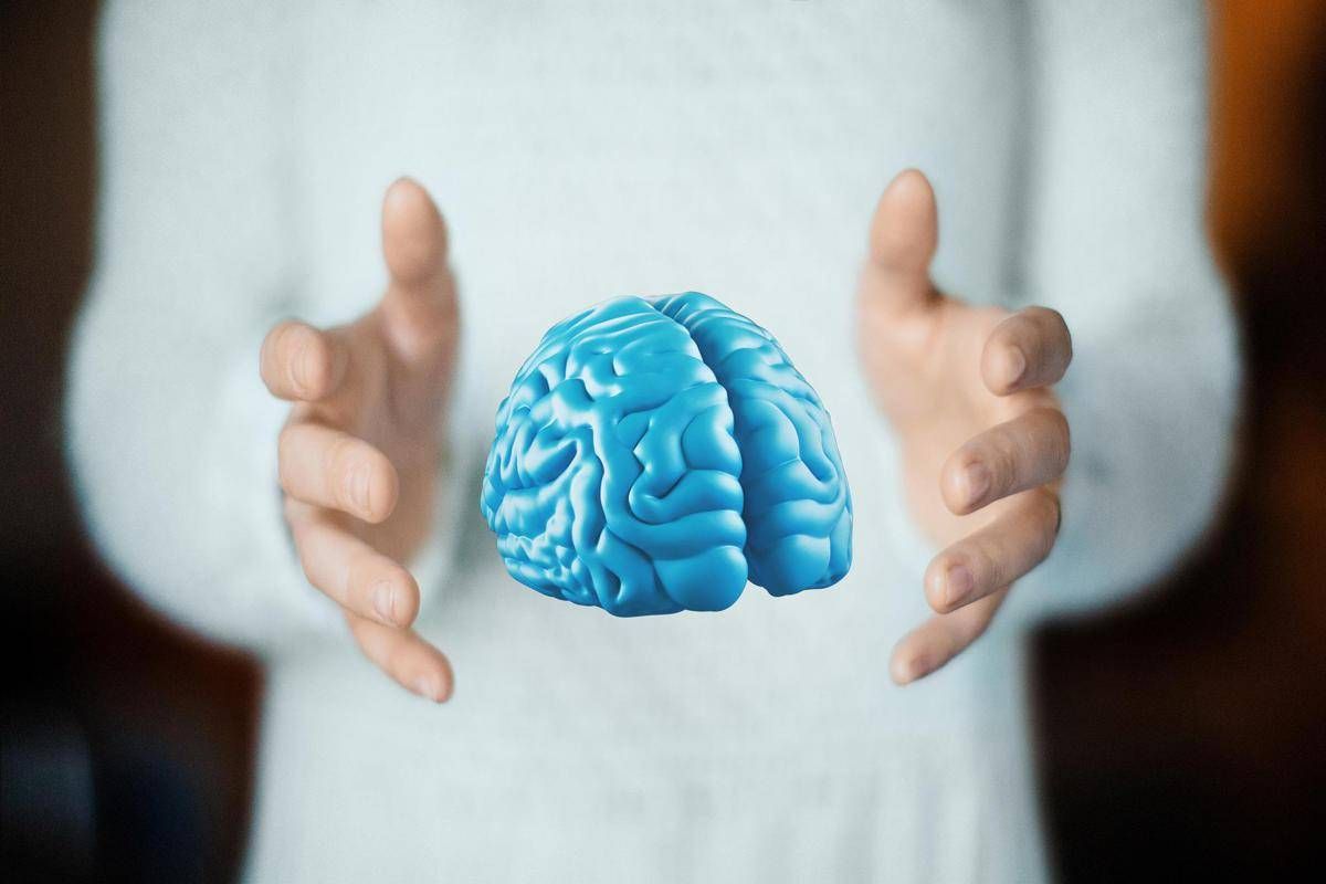Imparare ad essere altruisti, così il cervello costruisce i comportamenti sociali - 