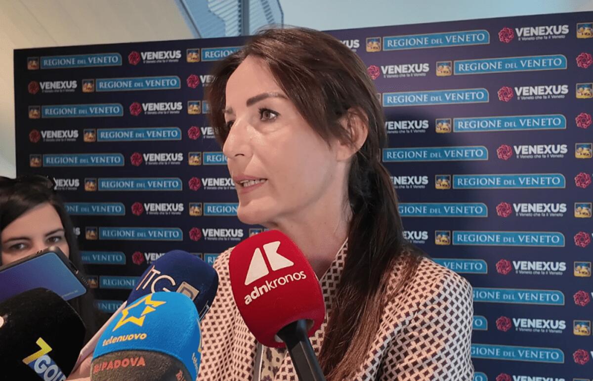 Solidarietà, Carron: "Venexus strumento per valorizzare impegno imprese" - 