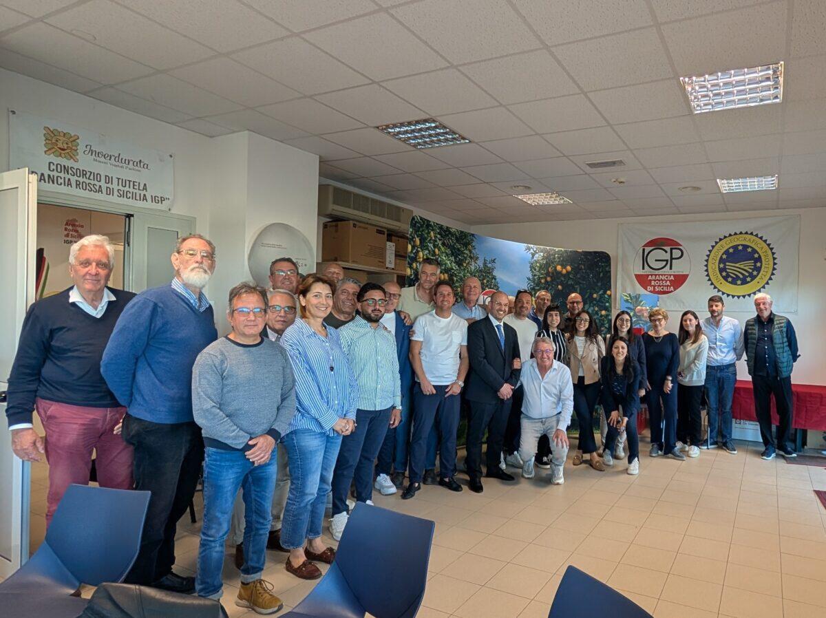 Bilancio Positivo per il Consorzio di Tutela Arancia Rossa: Un Passo Avanti nella Valorizzazione e Promozione del Prodotto Sicilia IGP - 