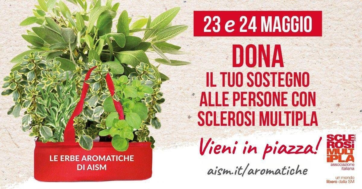 Settimana nazionale della sclerosi multipla, tornano le erbe aromatiche Aism in 500 piazze - 