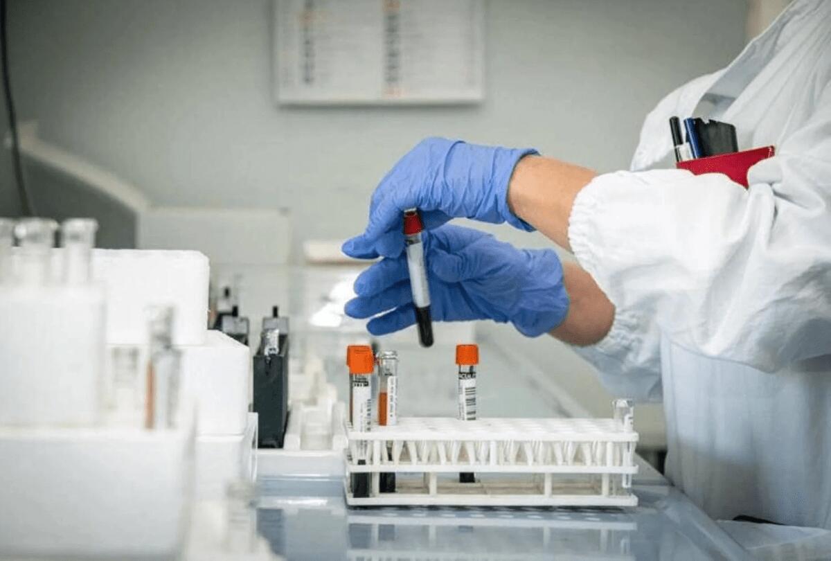Cancro al pancreas, un nuovo farmaco raddoppia il periodo di sopravvivenza: lo studio - 
