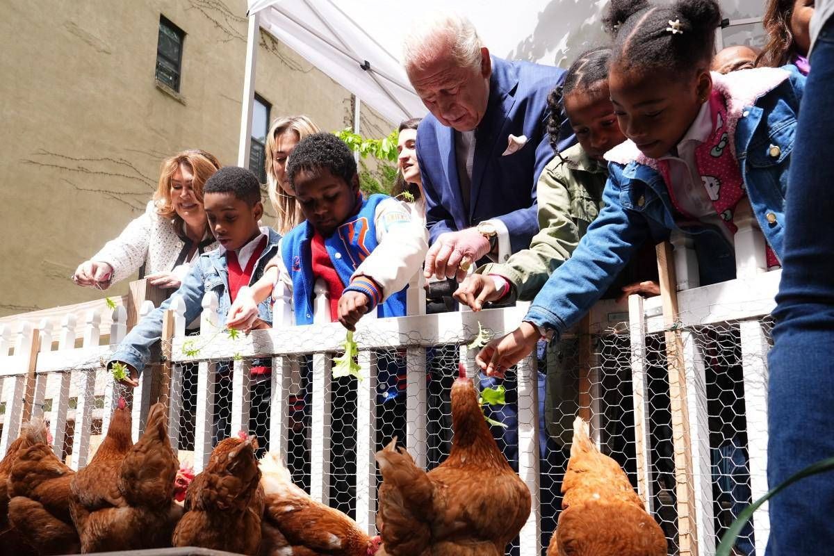 Reali e pollai, Carlo e Meghan: "I know my chickens" - 