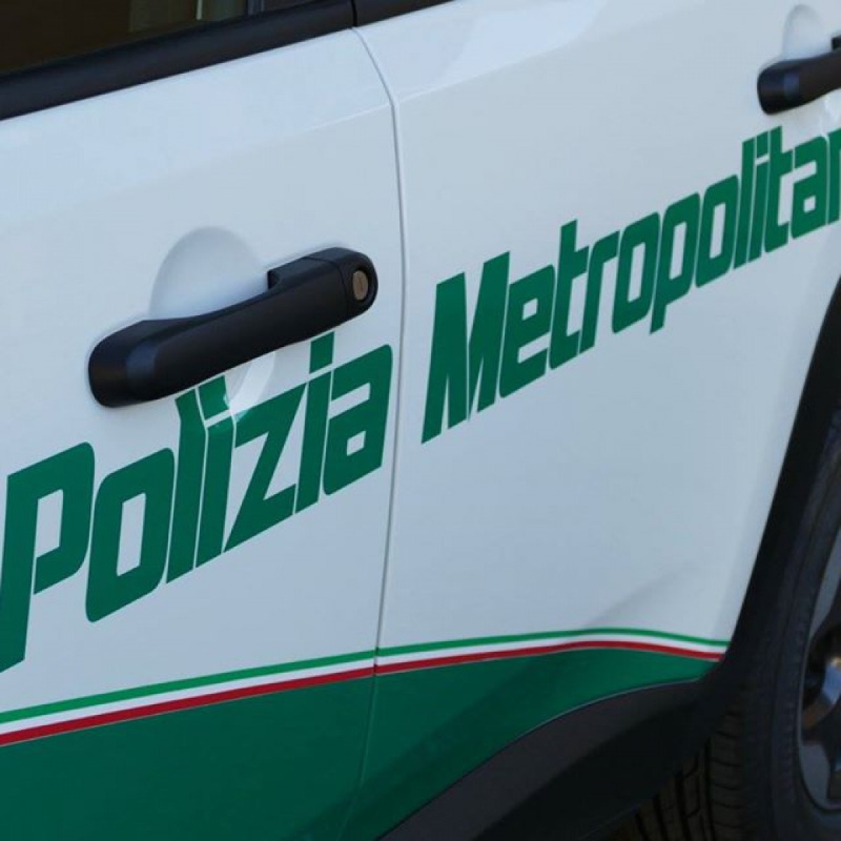 Maxigabbia per cinghiali sequestrata a Tripi: indagini per bracconaggio in oasi protetta - 