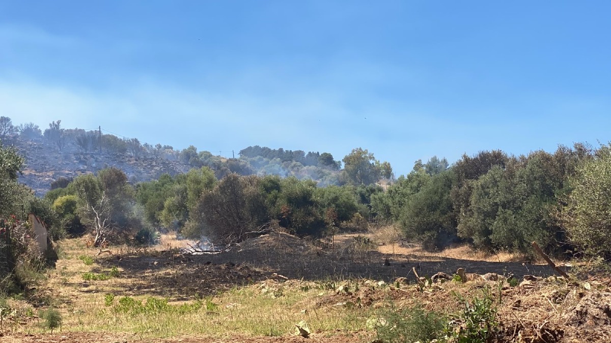 Incendio a Bagheria: vegetazione in fumo nella contrada Lanzirotti, elicottero in azione - 