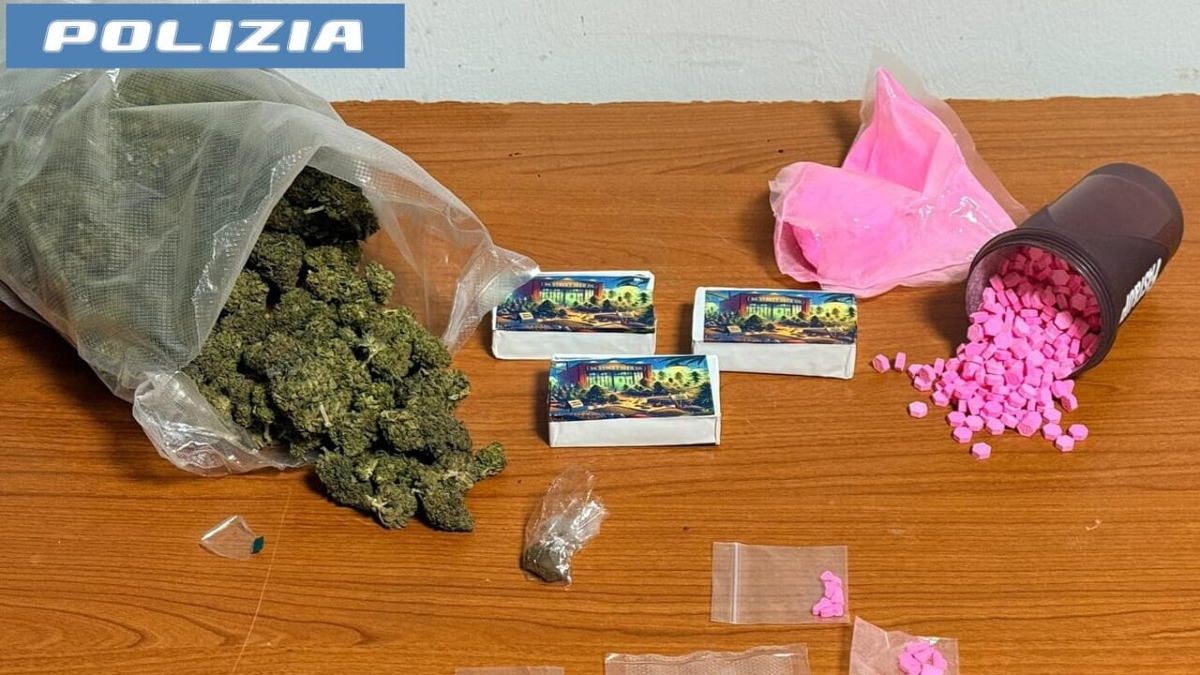 Catania: cane antidroga Briska scova deposito, maxi sequestro di 716 pasticche di metanfetamina rosa - 