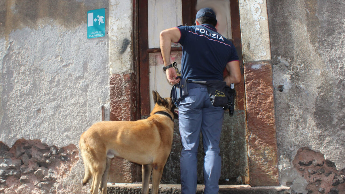 Catania, 18enne arrestato con droga e bomba artigianale in camera da letto - 