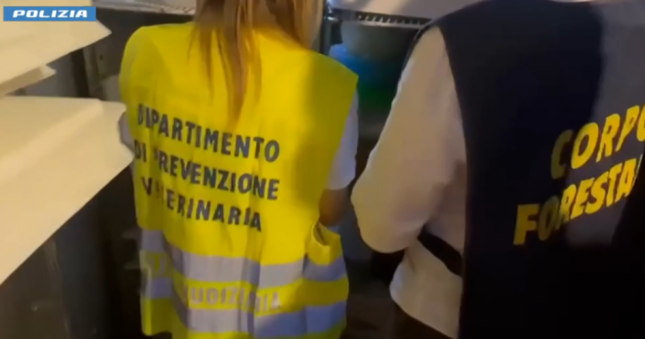 Catania: pizzeria sospesa a Cibali, 4 dipendenti in nero su 6; multati anche ristorante per cibi scaduti - 
