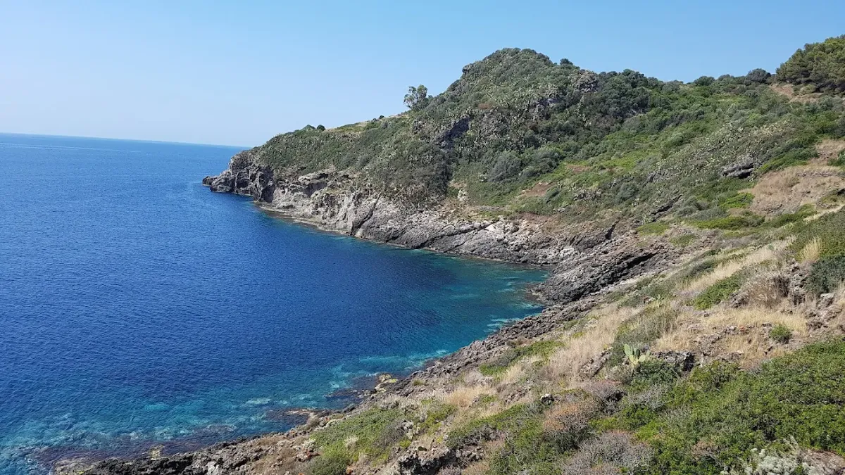 Ustica a 40 anni: la prima Area Marina Protetta tra celebrazione e prova del futuro - 