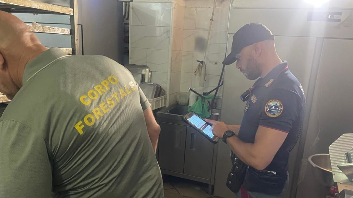 Panificio sospeso a Misterbianco: sequestrati 150 kg di alimenti e trovati due lavoratori in nero - 